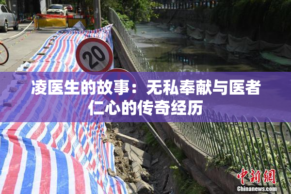 凌医生的故事：无私奉献与医者仁心的传奇经历