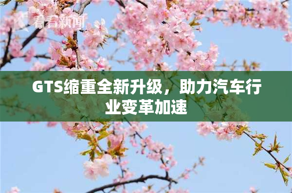 GTS缩重全新升级，助力汽车行业变革加速