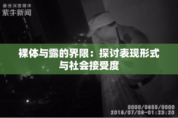 裸体与露的界限：探讨表现形式与社会接受度