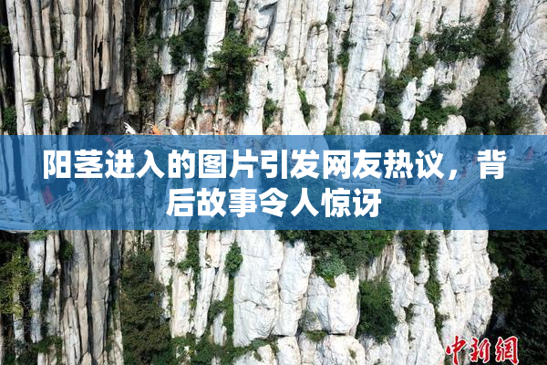 阳茎进入的图片引发网友热议，背后故事令人惊讶