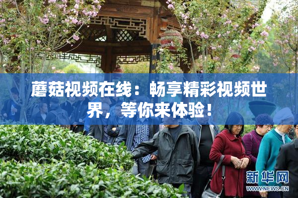 蘑菇视频在线：畅享精彩视频世界，等你来体验！