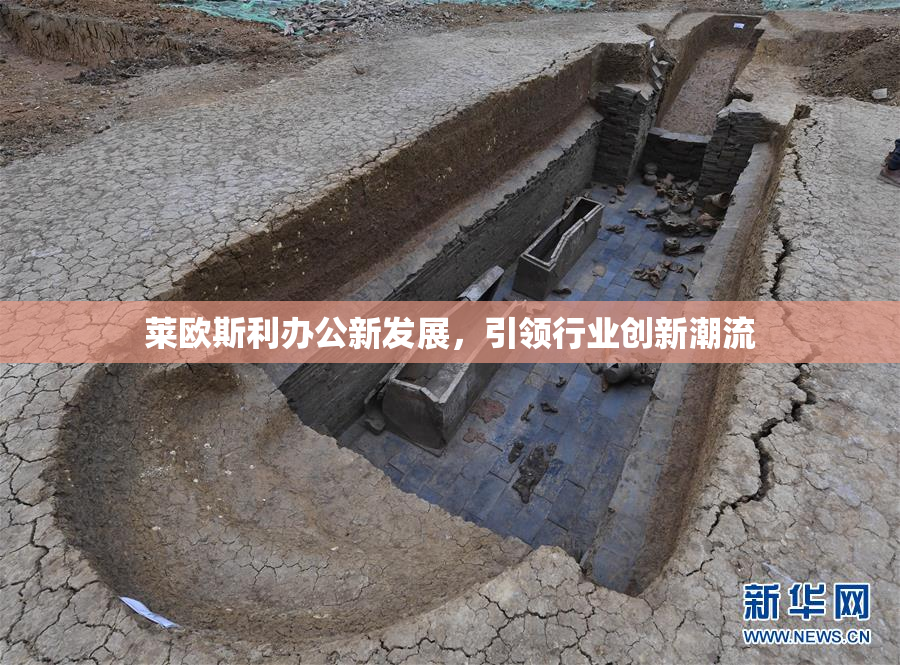 莱欧斯利办公新发展，引领行业创新潮流