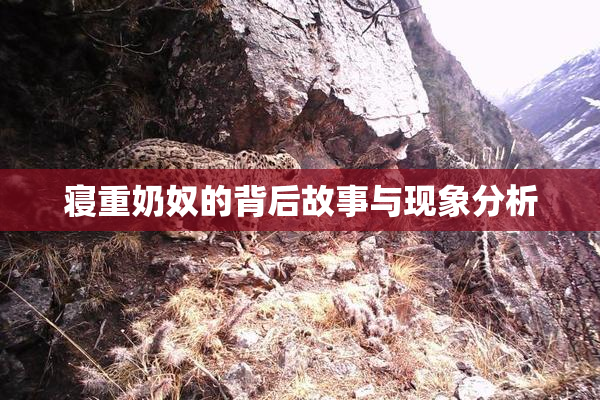 寝重奶奴的背后故事与现象分析