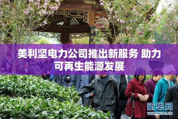 美利坚电力公司推出新服务 助力可再生能源发展