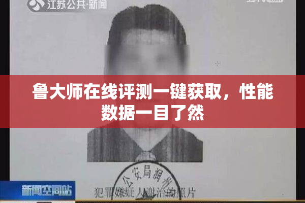鲁大师在线评测一键获取，性能数据一目了然