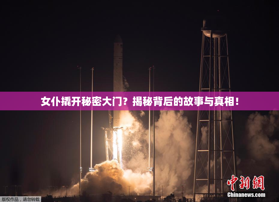女仆撬开秘密大门？揭秘背后的故事与真相！