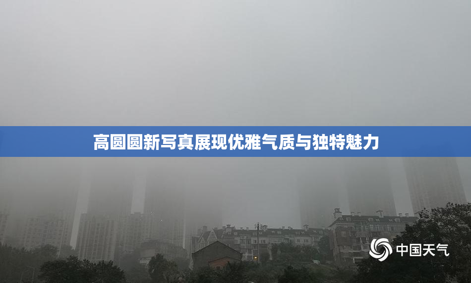 高圆圆新写真展现优雅气质与独特魅力