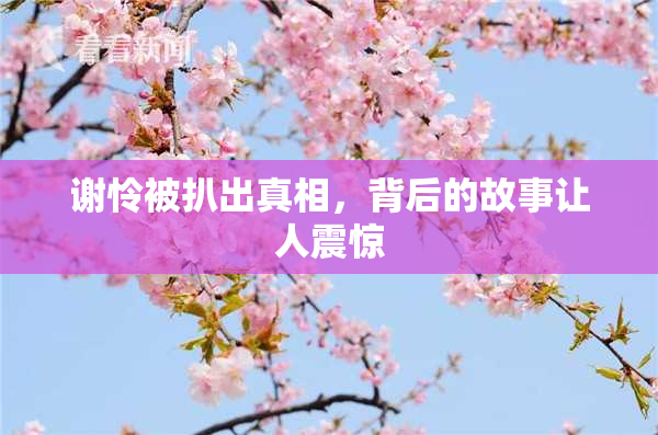 谢怜被扒出真相，背后的故事让人震惊