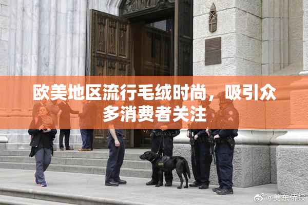 欧美地区流行毛绒时尚，吸引众多消费者关注