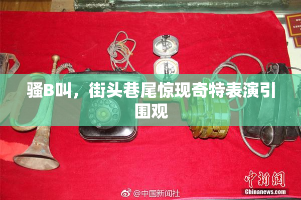 骚B叫，街头巷尾惊现奇特表演引围观