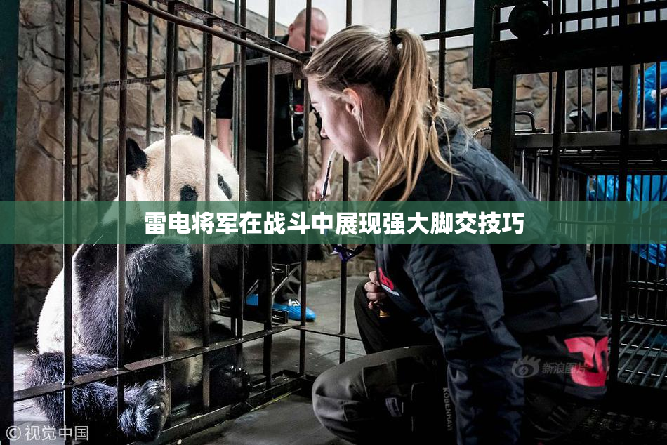 雷电将军在战斗中展现强大脚交技巧