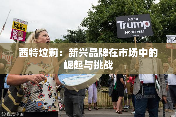 茜特垃莉：新兴品牌在市场中的崛起与挑战