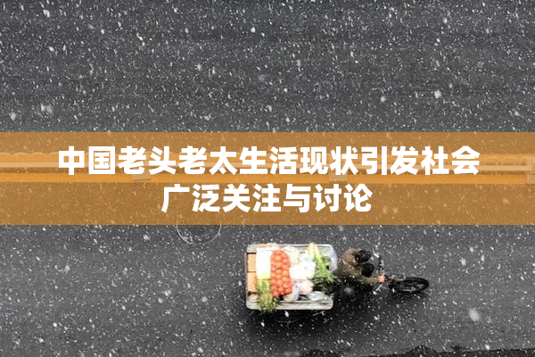 中国老头老太生活现状引发社会广泛关注与讨论