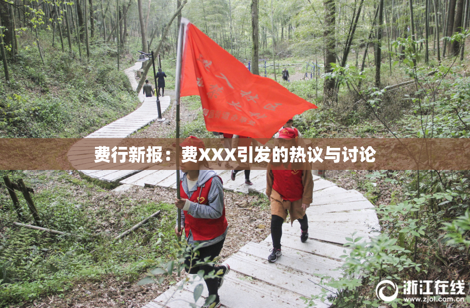 费行新报：费XXX引发的热议与讨论