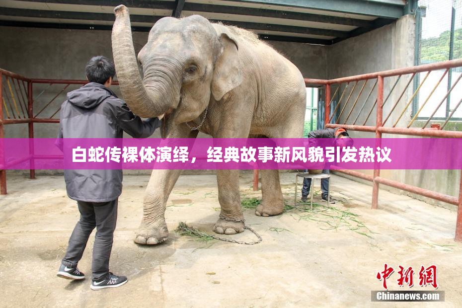 白蛇传裸体演绎，经典故事新风貌引发热议