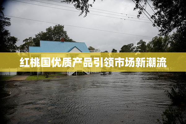 红桃国优质产品引领市场新潮流
