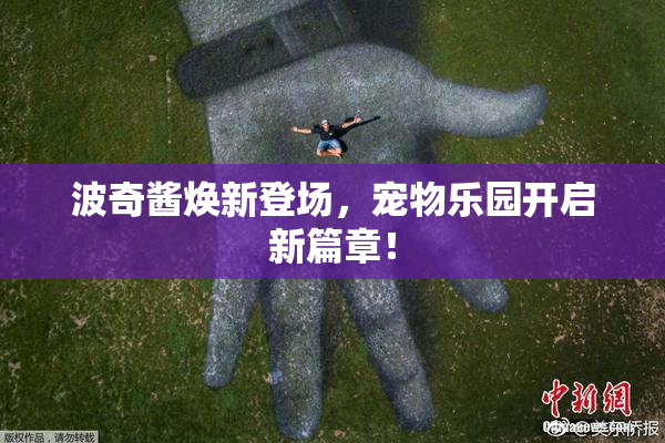 波奇酱焕新登场，宠物乐园开启新篇章！