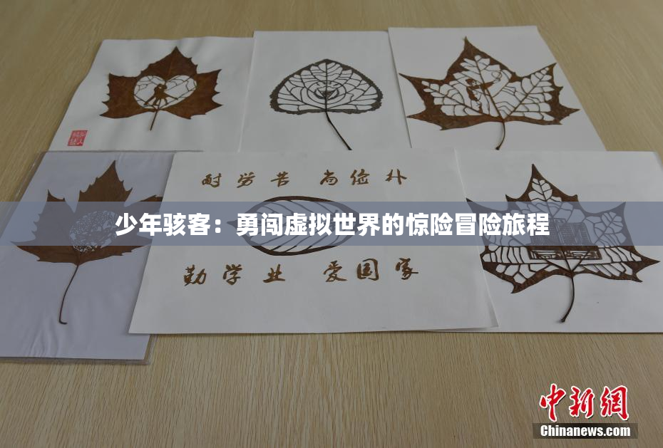 少年骇客：勇闯虚拟世界的惊险冒险旅程