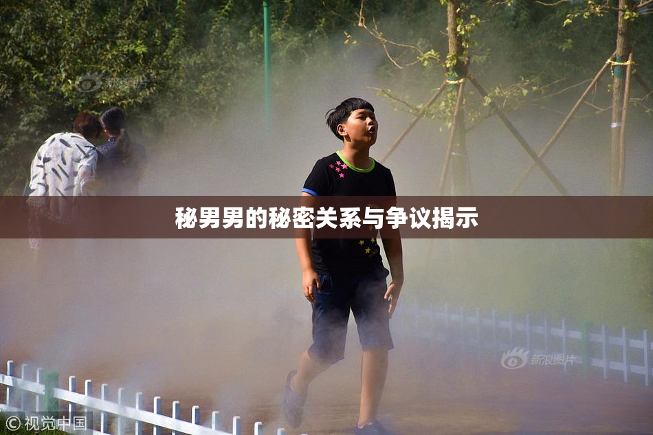 秘男男的秘密关系与争议揭示