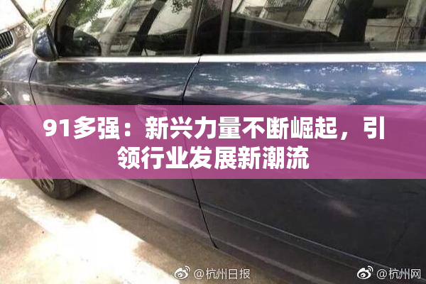 91多强：新兴力量不断崛起，引领行业发展新潮流