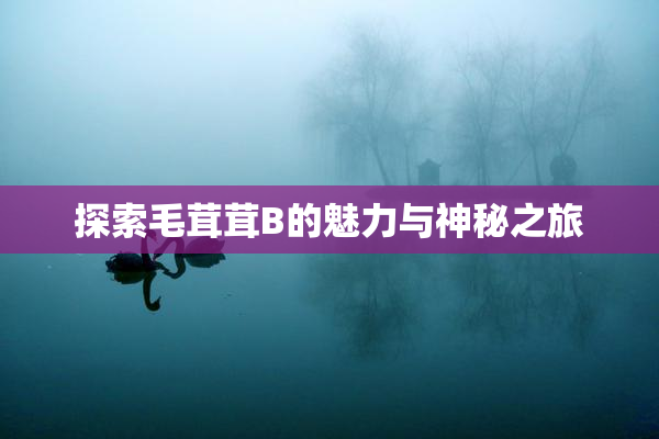 探索毛茸茸B的魅力与神秘之旅