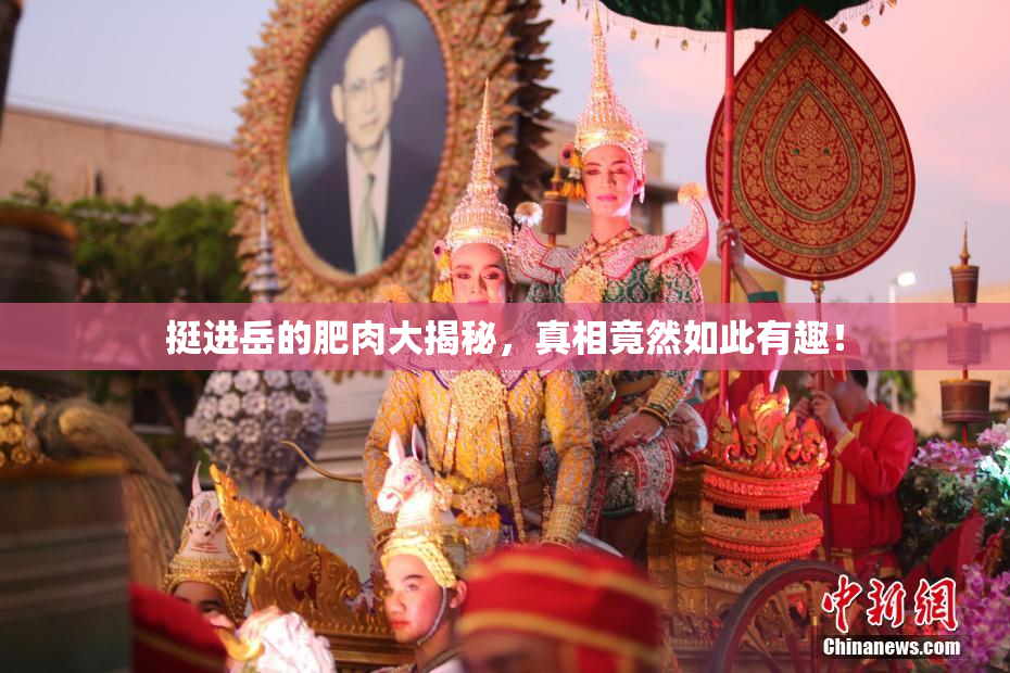 挺进岳的肥肉大揭秘，真相竟然如此有趣！