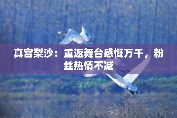 真宫梨沙：重返舞台感慨万千，粉丝热情不减