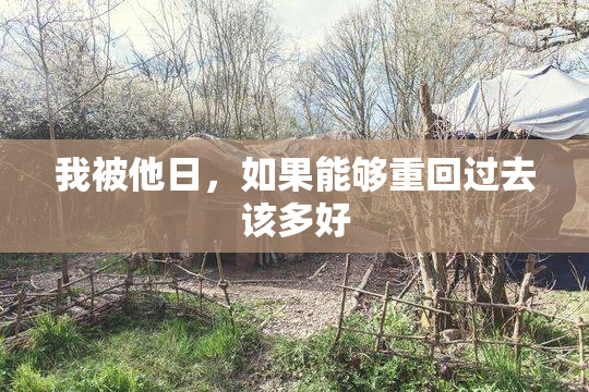 我被他日，如果能够重回过去该多好
