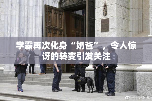 学霸再次化身“奶爸”，令人惊讶的转变引发关注
