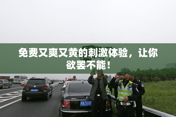 免费又爽又黄的刺激体验，让你欲罢不能！