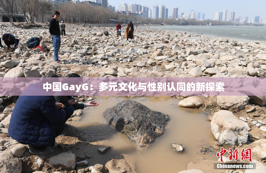 中国GayG：多元文化与性别认同的新探索