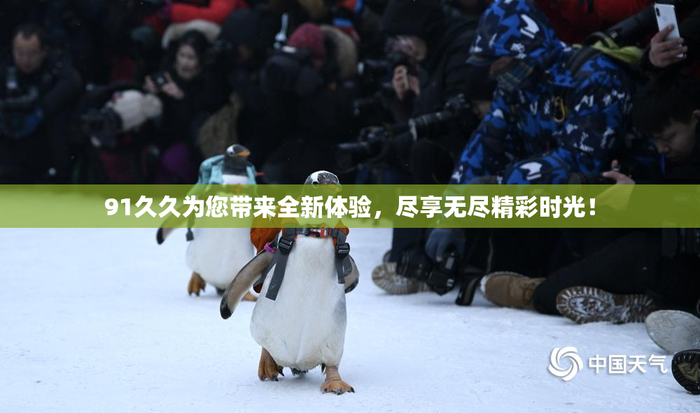 91久久为您带来全新体验，尽享无尽精彩时光！