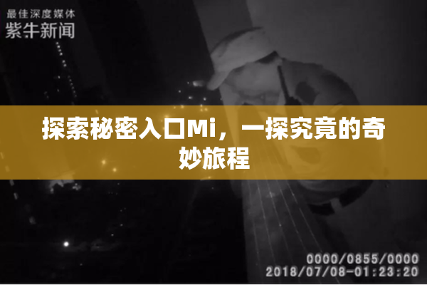 探索秘密入口Mi，一探究竟的奇妙旅程