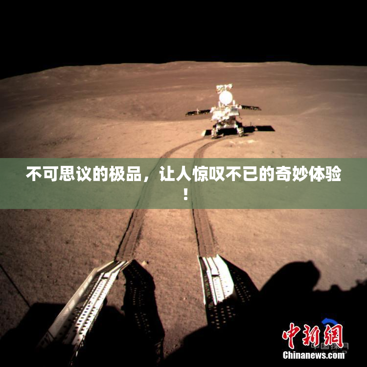 不可思议的极品，让人惊叹不已的奇妙体验！