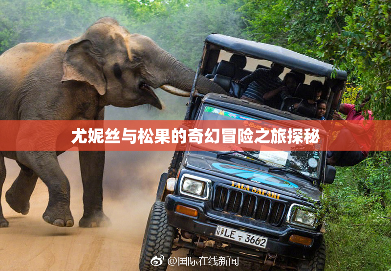 尤妮丝与松果的奇幻冒险之旅探秘