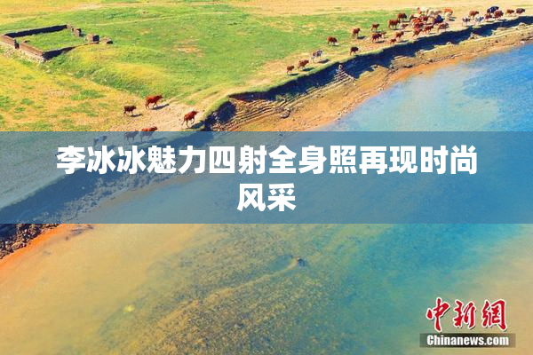 李冰冰魅力四射全身照再现时尚风采