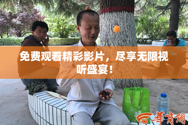 免费观看精彩影片，尽享无限视听盛宴！