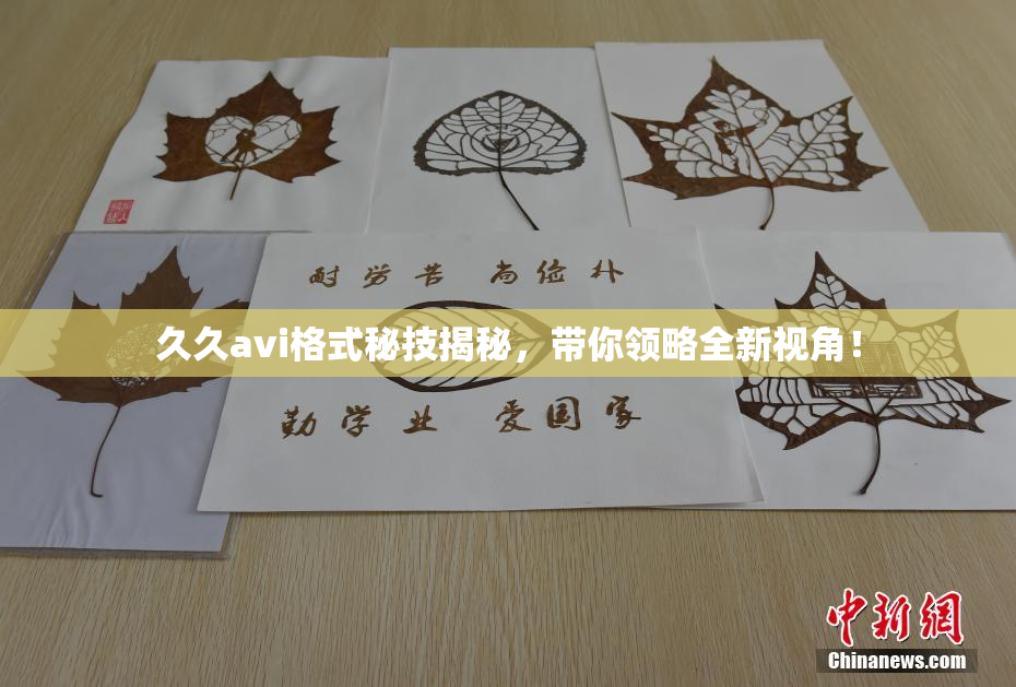 久久avi格式秘技揭秘，带你领略全新视角！
