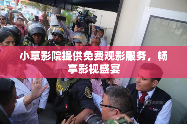 小草影院提供免费观影服务，畅享影视盛宴
