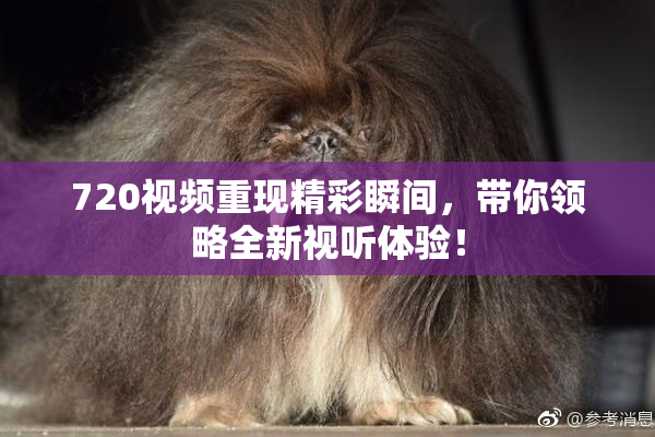 720视频重现精彩瞬间，带你领略全新视听体验！