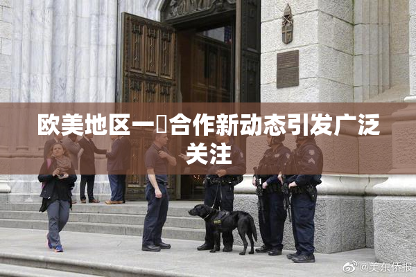 欧美地区一級合作新动态引发广泛关注