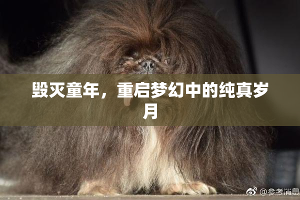 毁灭童年，重启梦幻中的纯真岁月