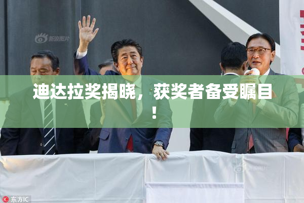 迪达拉奖揭晓，获奖者备受瞩目！