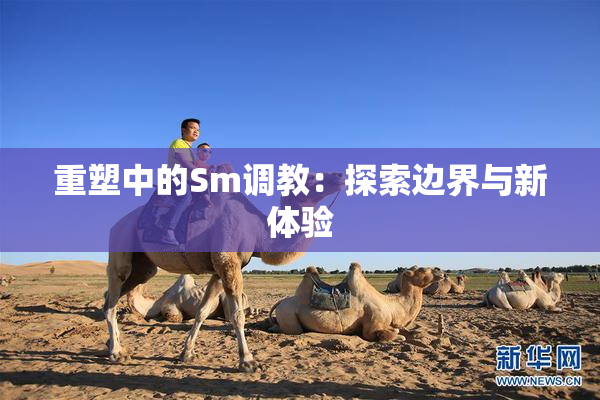重塑中的Sm调教：探索边界与新体验
