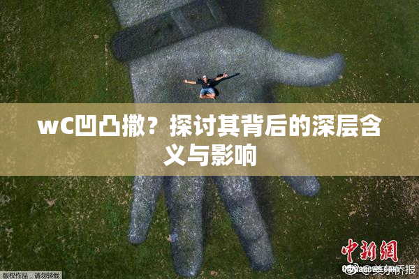 wC凹凸撒？探讨其背后的深层含义与影响