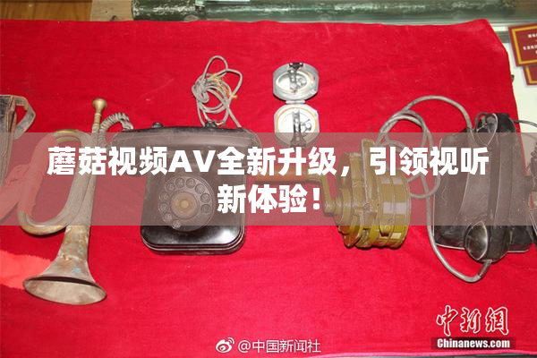 蘑菇视频AV全新升级，引领视听新体验！