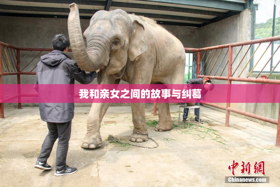 我和亲女之间的故事与纠葛