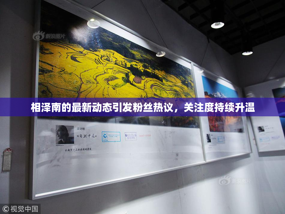 相泽南的最新动态引发粉丝热议，关注度持续升温