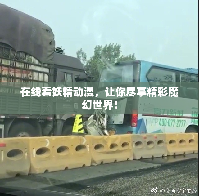 在线看妖精动漫，让你尽享精彩魔幻世界！