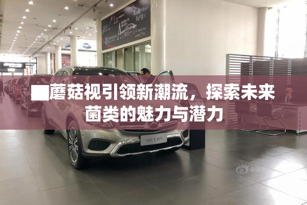 ▇蘑菇视引领新潮流，探索未来菌类的魅力与潜力